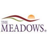 The Meadows Clinic