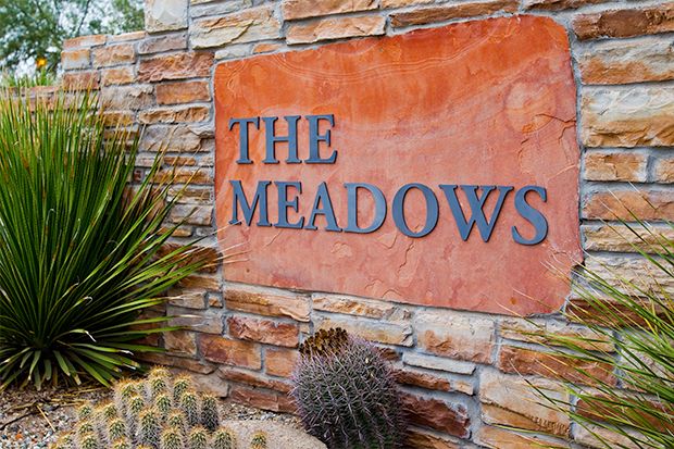 The Meadows Clinic