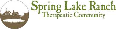 Spring Lake Ranch Treatment Center