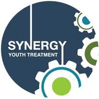 Synergy Youth Treatment 