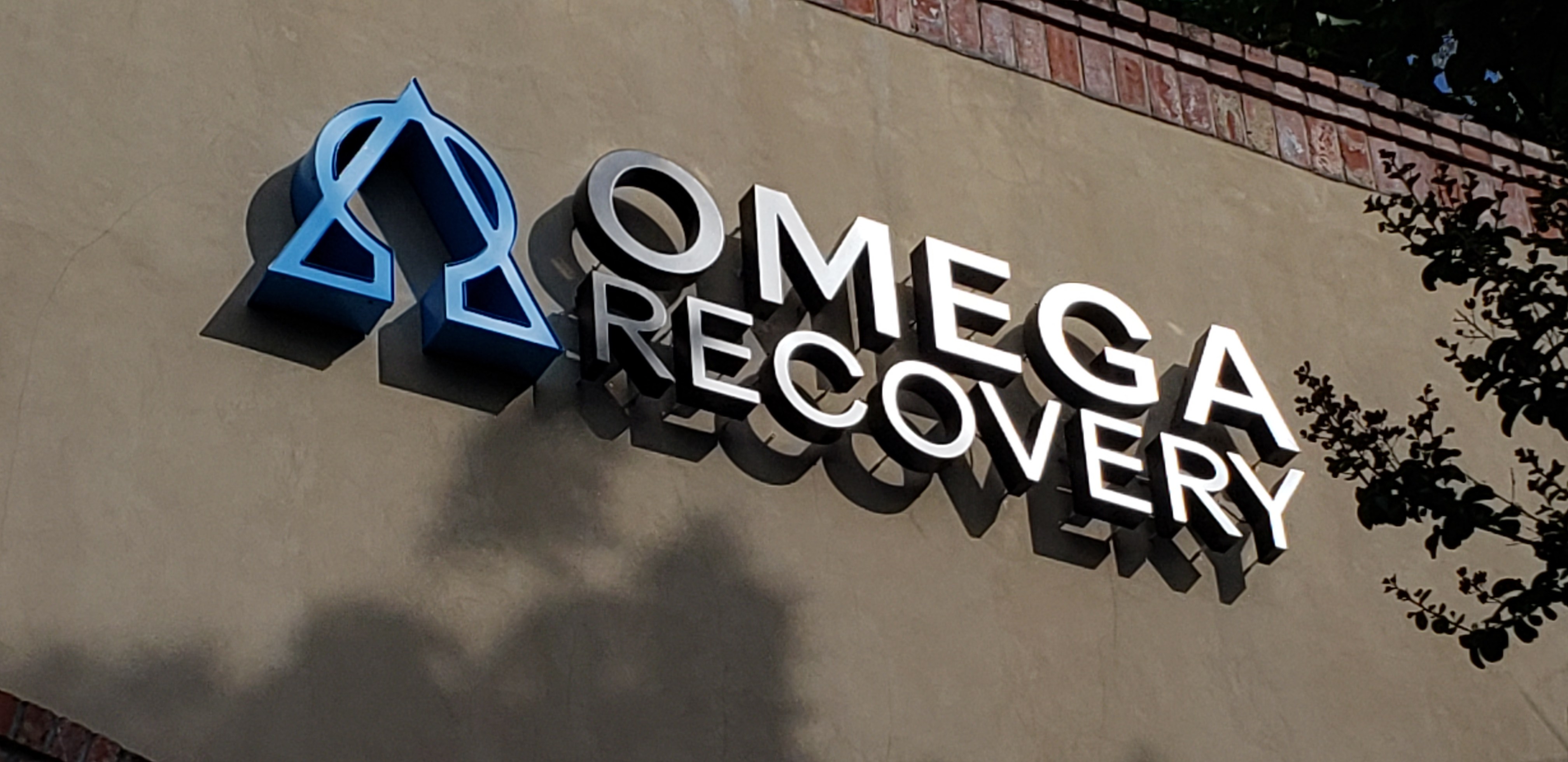 Omega Recovery