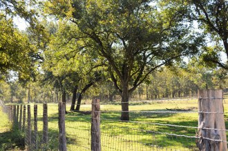 Touchstone Ranch Recovery Center