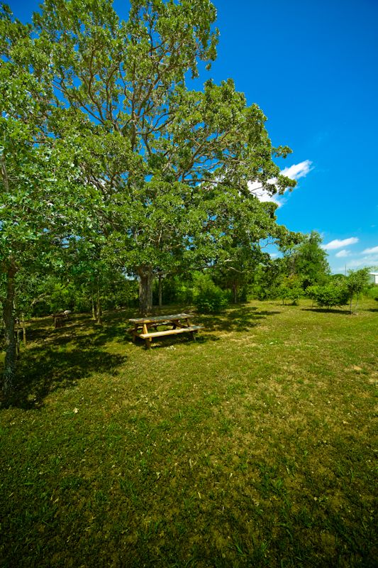 Burning Tree Recovery Ranch